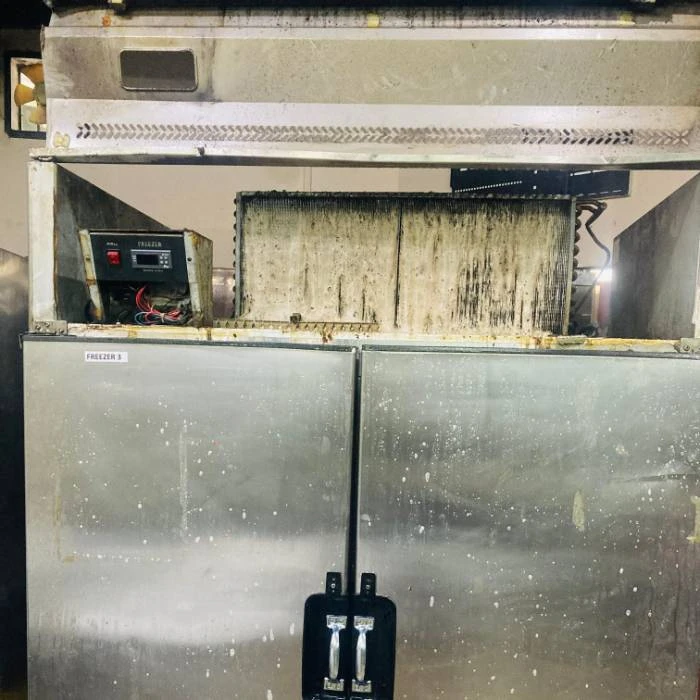 Freezer Defrosting Repair Service